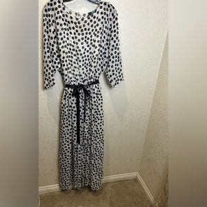 Eva Franco. Size 4 Polk a dot maxi dress